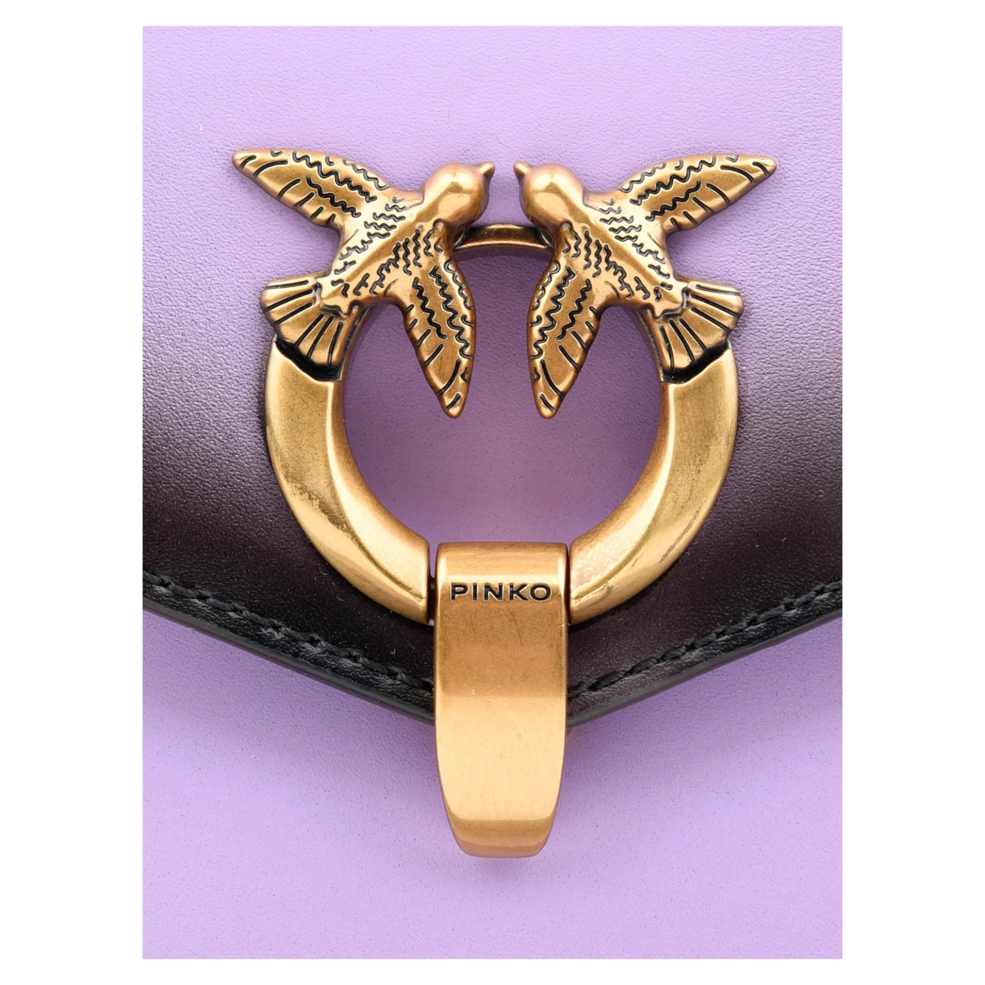 PINKO Bolsos 101512 Y48Q LILLA