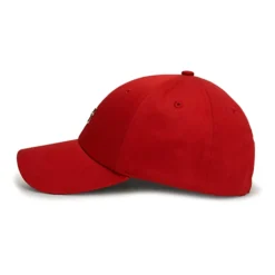TOMMY HILFIGER Gorras y viseras AW0AW16771 XNN DARK MAGMA